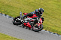 PJ-Motorsport-2019;anglesey-no-limits-trackday;anglesey-photographs;anglesey-trackday-photographs;enduro-digital-images;event-digital-images;eventdigitalimages;no-limits-trackdays;peter-wileman-photography;racing-digital-images;trac-mon;trackday-digital-images;trackday-photos;ty-croes